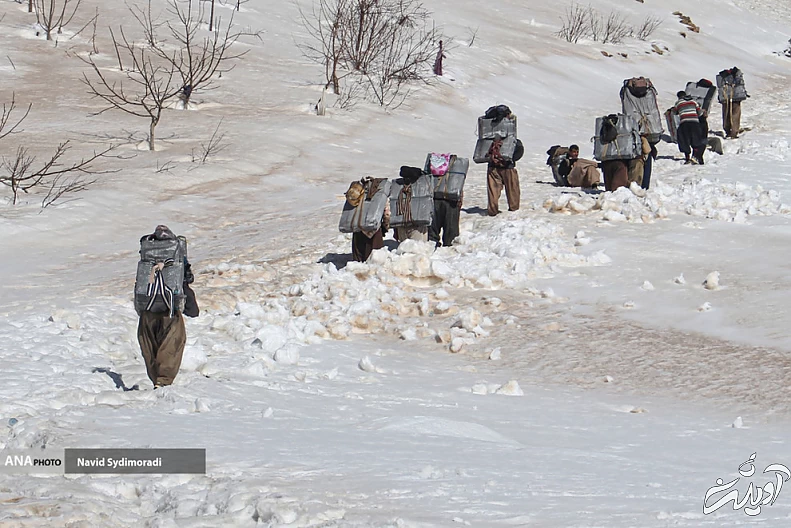 (تصاویر) کولبران کردستان